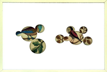 Arpías B. Col. part.