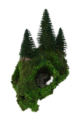 Cráneo vegetal G detalle 3