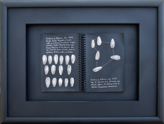 cuaderno de bitácora 1 (42x34)