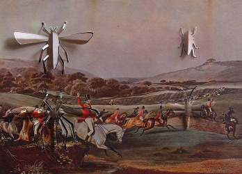 Insectos miméticos C