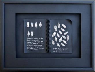 cuaderno de bitácora 3 (42x34)