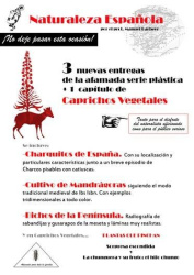 Folleto de la exposición en la Galería Blanca Soto
