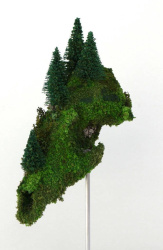 Cráneo vegetal P detalle 2