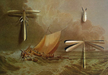 Insectos miméticos E