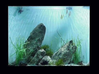 Micro Diorama (2)