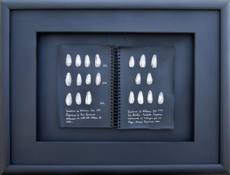 Cuaderno de bitácora 2 (42x34)